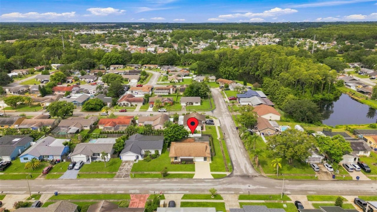 4331 Swallowtail Drive, New Port Richey, FL 34653 Photo