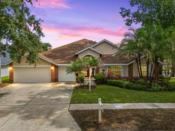 8746 TANTALLON CIRCLE , TAMPA, FL 33647
