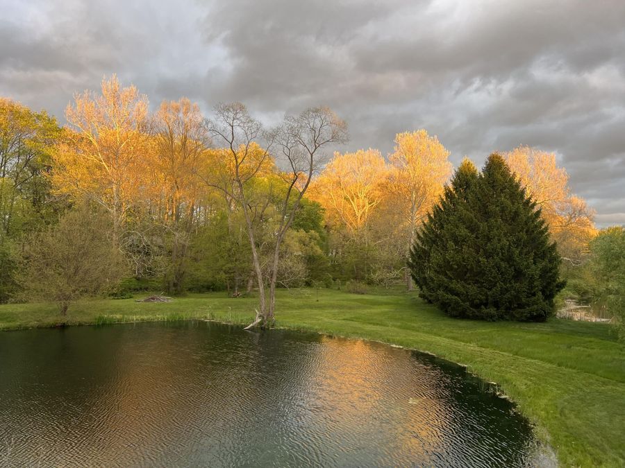 Property Image 35