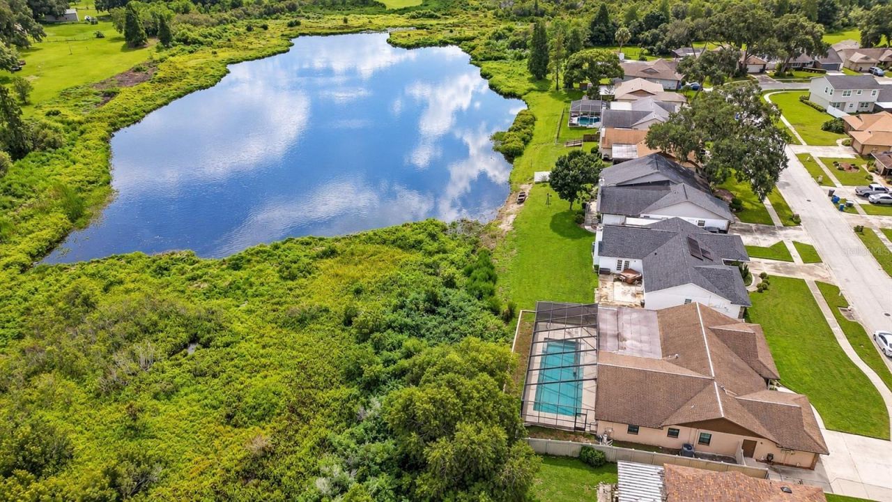 659 Timber Pond Drive, Brandon, FL 33510 Photo
