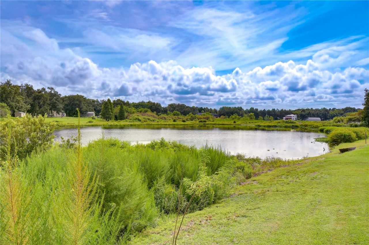 659 Timber Pond Drive, Brandon, FL 33510 Photo