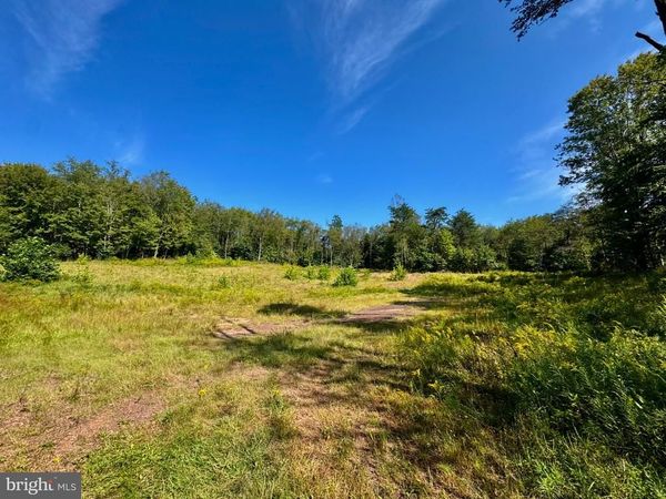 Lot: 2 PARADISE POINT, JAMES CREEK, PA 16657