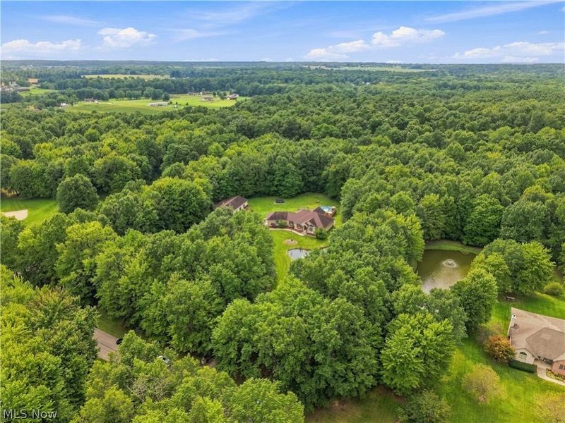 5790 Elias Lloyd Road, North Jackson, OH 44451 Photo 33