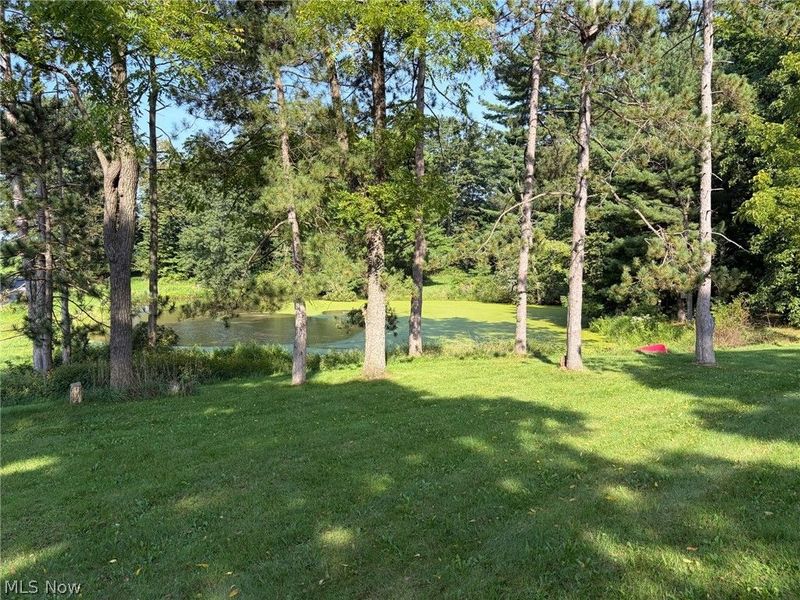28080 Mountz Road, East Rochester, OH 44625 Photo 19