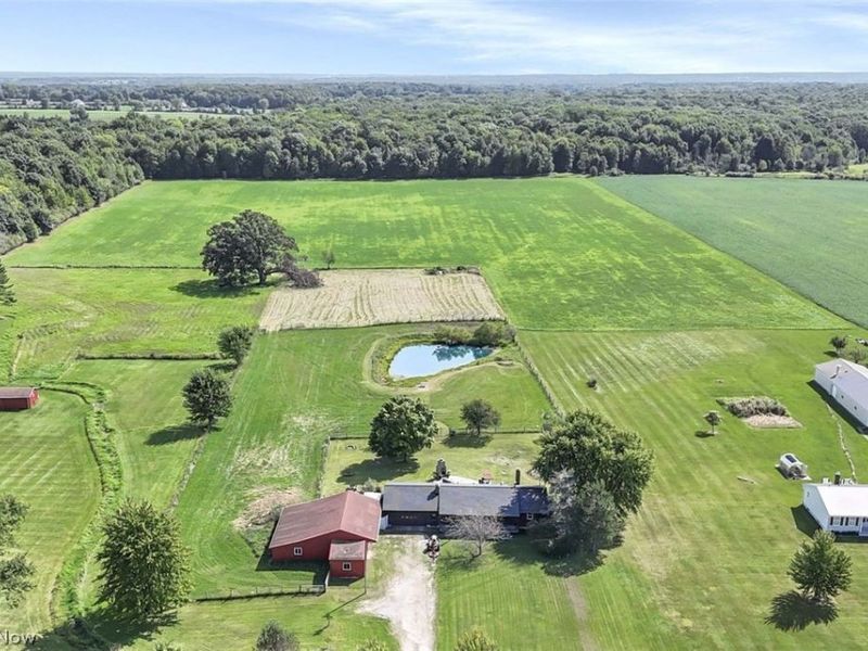 5301 Vandemark Road, Medina, OH 44256 Photo 46