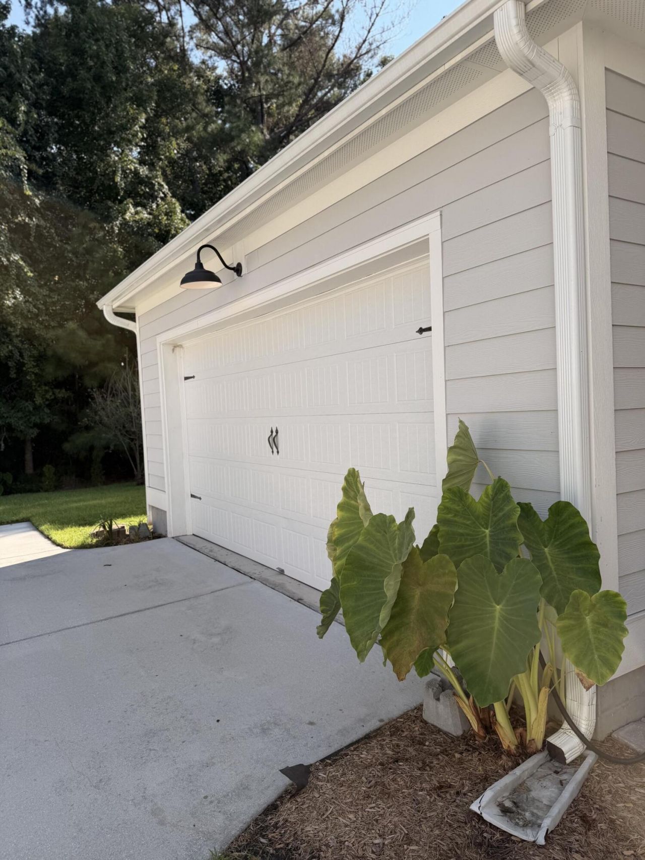 1694 Sparkleberry Lane Photo 11