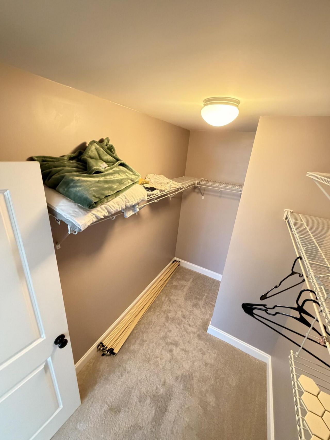 1694 Sparkleberry Lane Photo 15