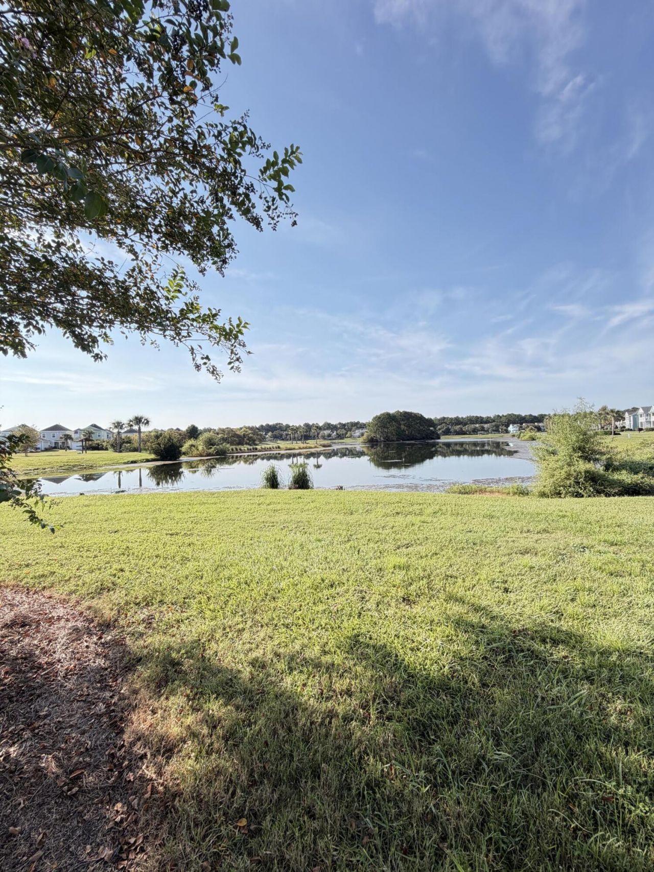 1694 Sparkleberry Lane Photo 37