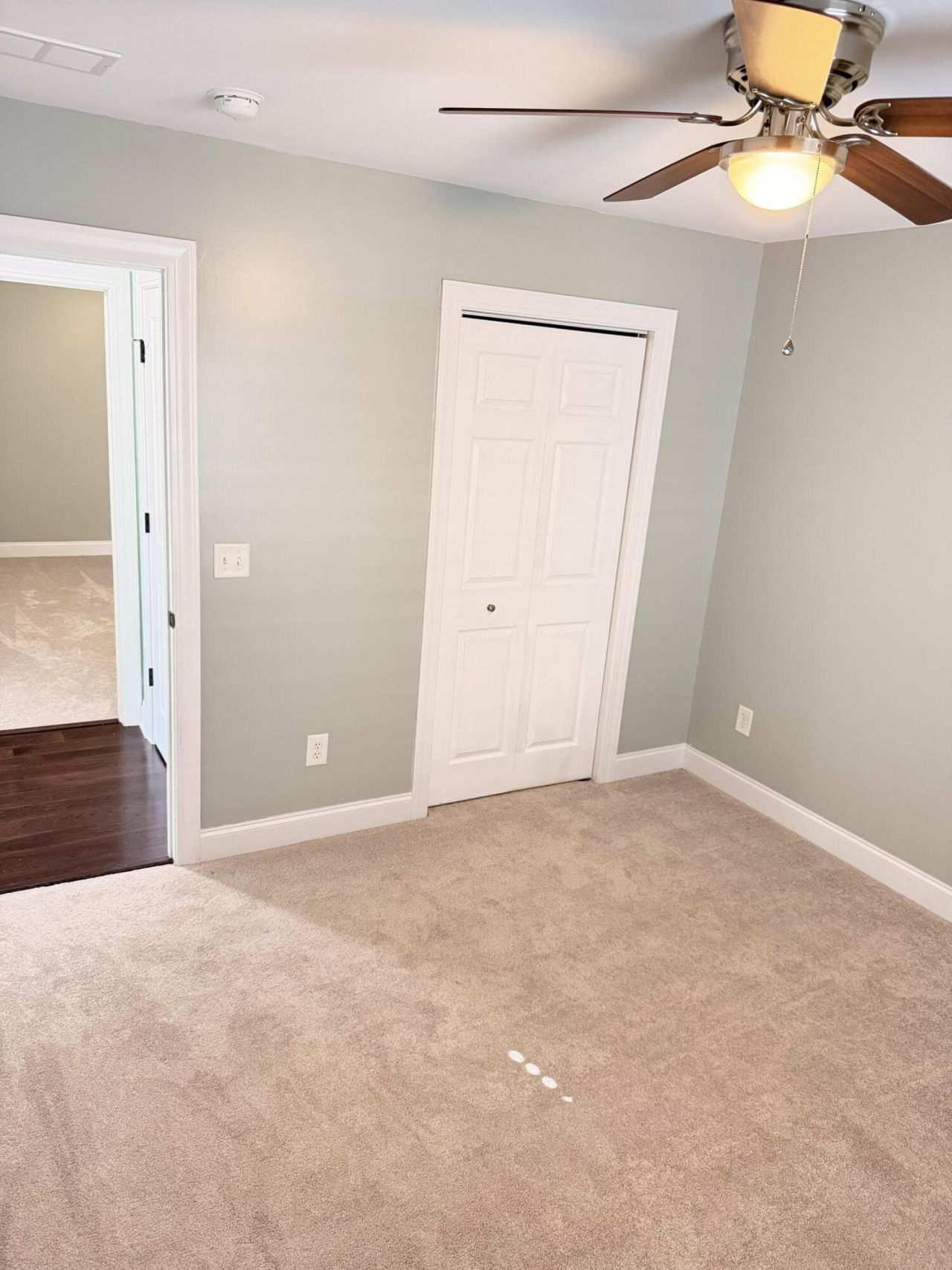 1694 Sparkleberry Lane Photo 8