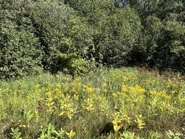 000 County Road 403, Newberry, MI 49868