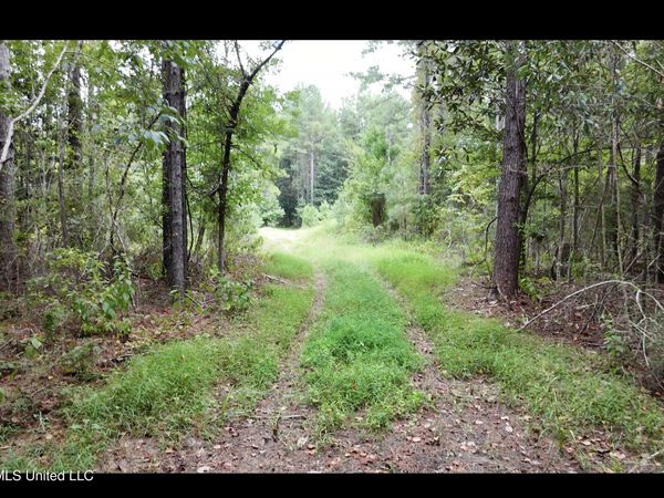 Frank Murphy Road, Lucedale, MS 39452