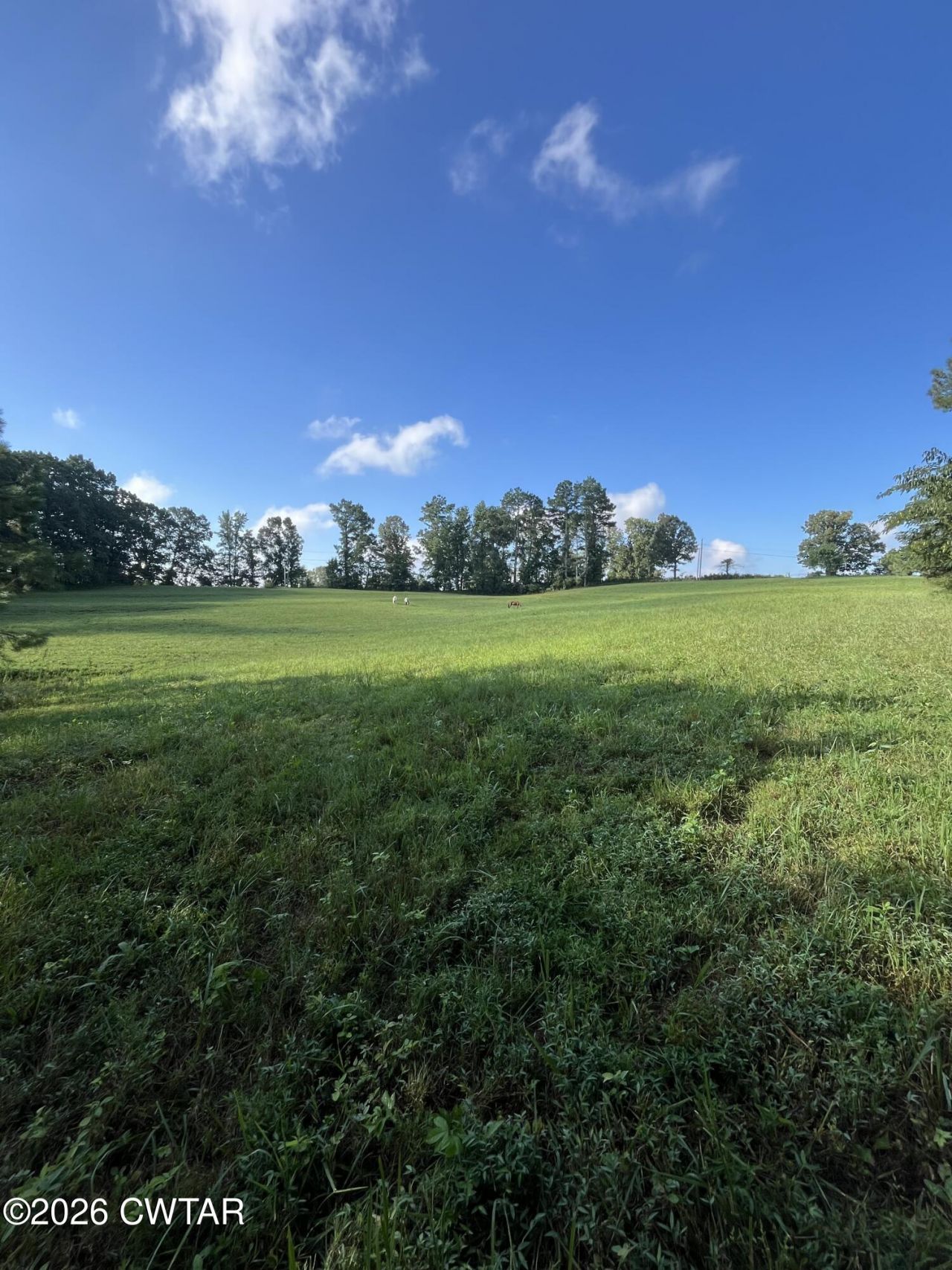 00 Strayleaf Road, Wildersville, TN 38388 Main Photo