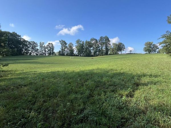 00 Strayleaf Road, Wildersville, TN 38388