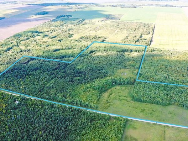 8324 60th Street NW, Williams, MN 56686