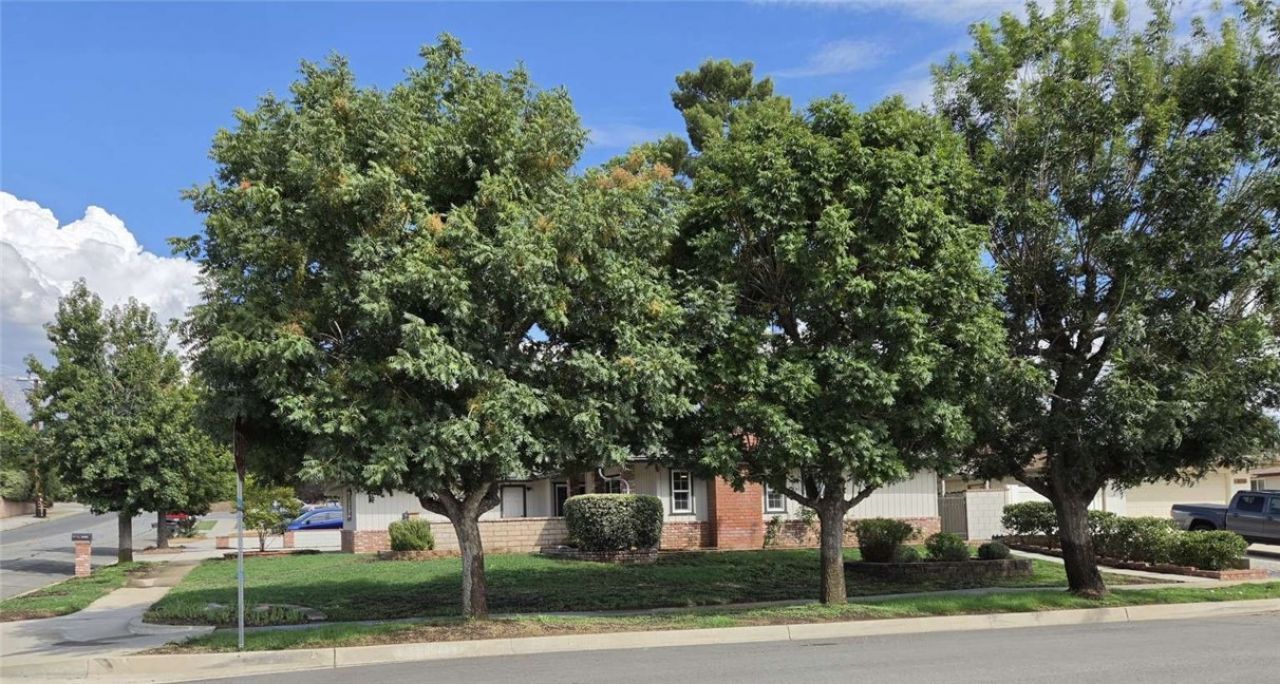 35465 Date Avenue, Yucaipa, CA 92399 Main Photo