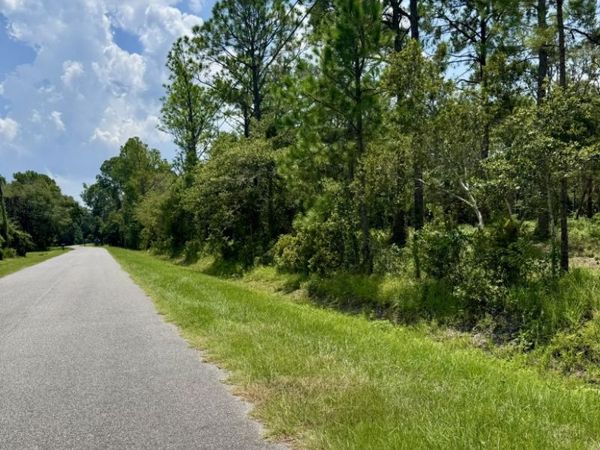 ALLIGATOR CREEK Road, Fernandina Beach, FL 32034