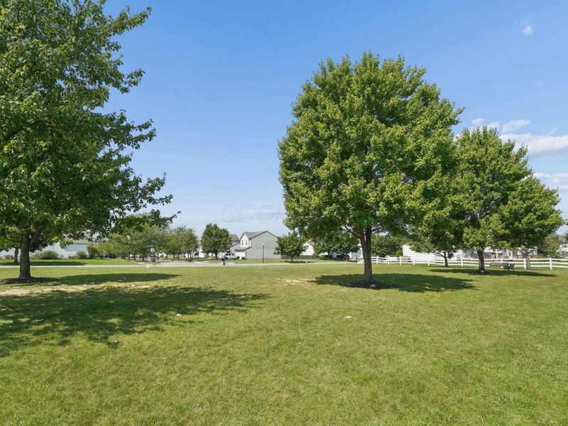 1217 Walker Springs Drive, Blacklick, OH 43004 Photo 43