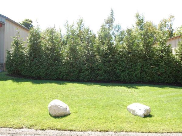 5495 Collectible Court, Unit 4, Bay Harbor, MI 49770