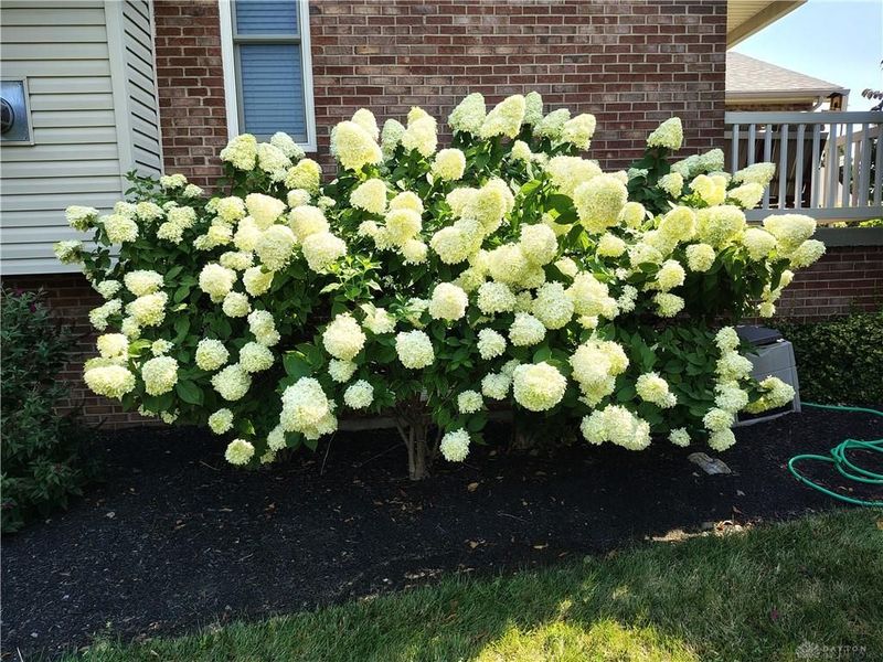 6253 Zilpha Court, Fairfield Township, OH 45011 Photo 25