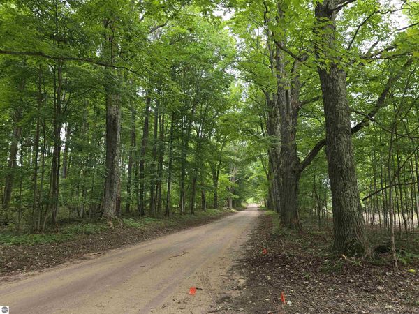 6306 Maidens Road, Bear Lake, MI 49614