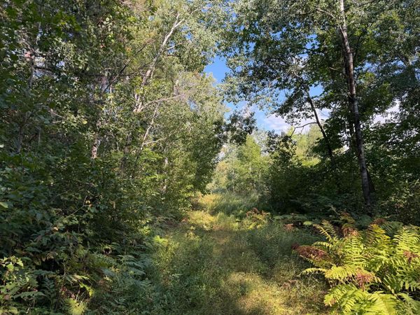 tbd Klice Road, Willow River, MN 55795