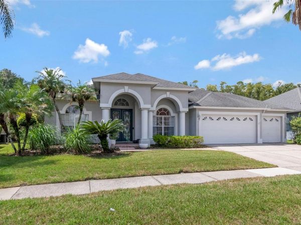 10017 KINGSHYRE WAY, TAMPA, FL 33647