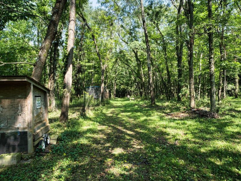 7626 White Chapel Road SE, Newark, OH 43056 Photo 48