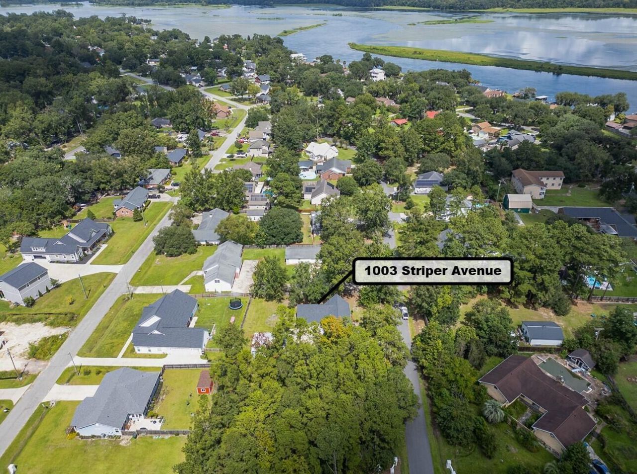 1003 Striper Avenue Photo 39