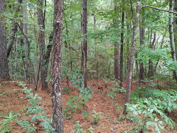 5 Stoneridge, Hattiesburg, MS 39402