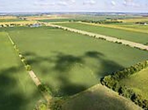 Main Photo