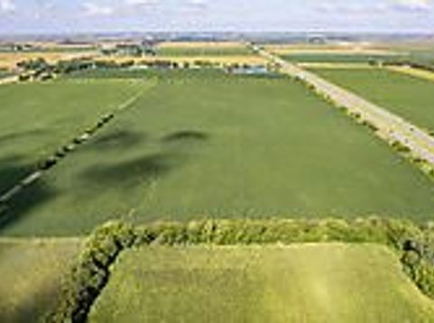 Main Photo