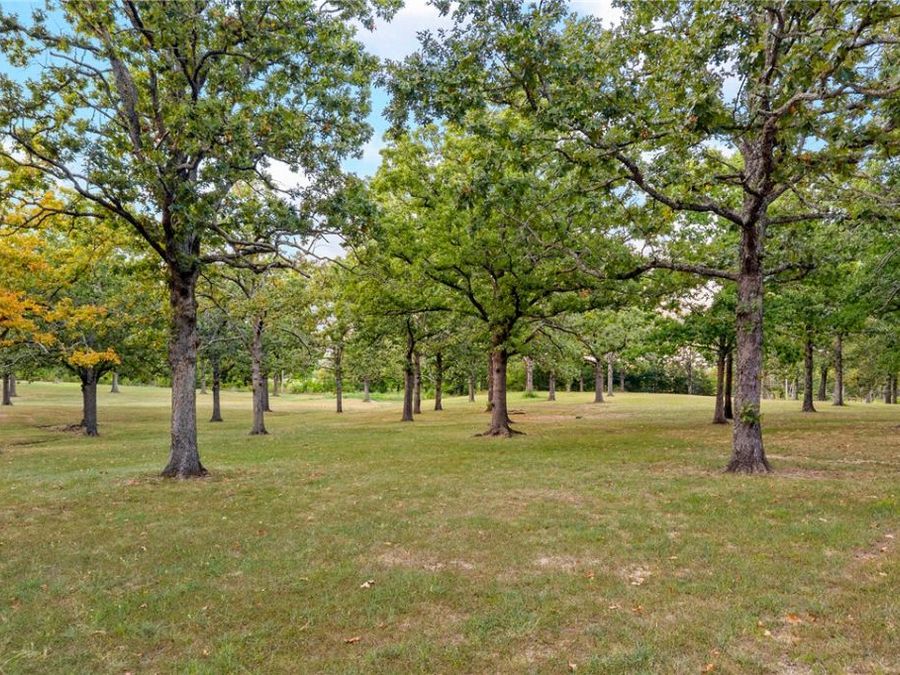 Property Image 52