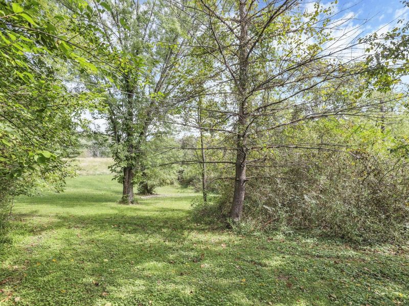 31 Longview Heights Road, Athens, OH 45701 Photo 45