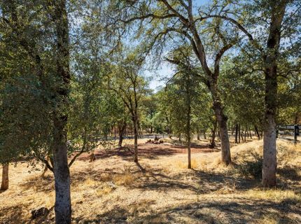 1400 Crooked Mile Ct, Placerville, CA 95667 Photo