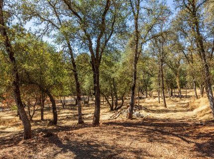 1400 Crooked Mile Ct, Placerville, CA 95667 Photo