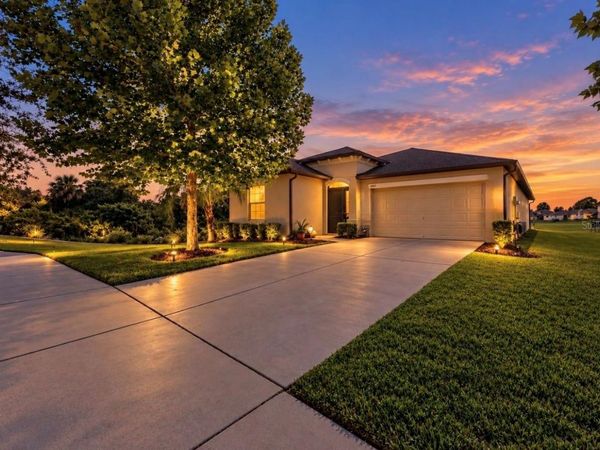 10017 CARAWAY SPICE AVENUE , RIVERVIEW, FL 33578