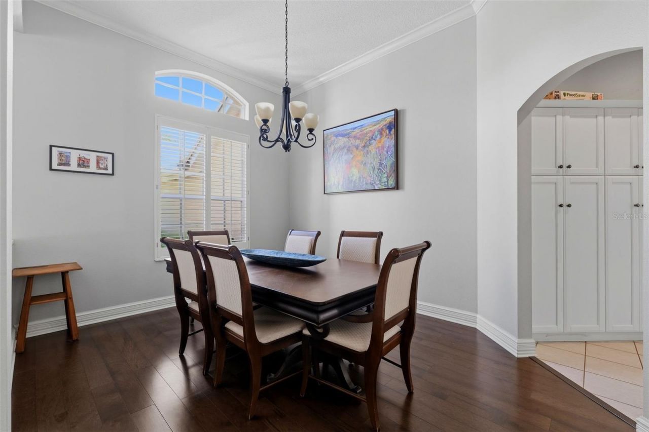 12012 Brewster Drive, Tampa, FL 33626 Photo