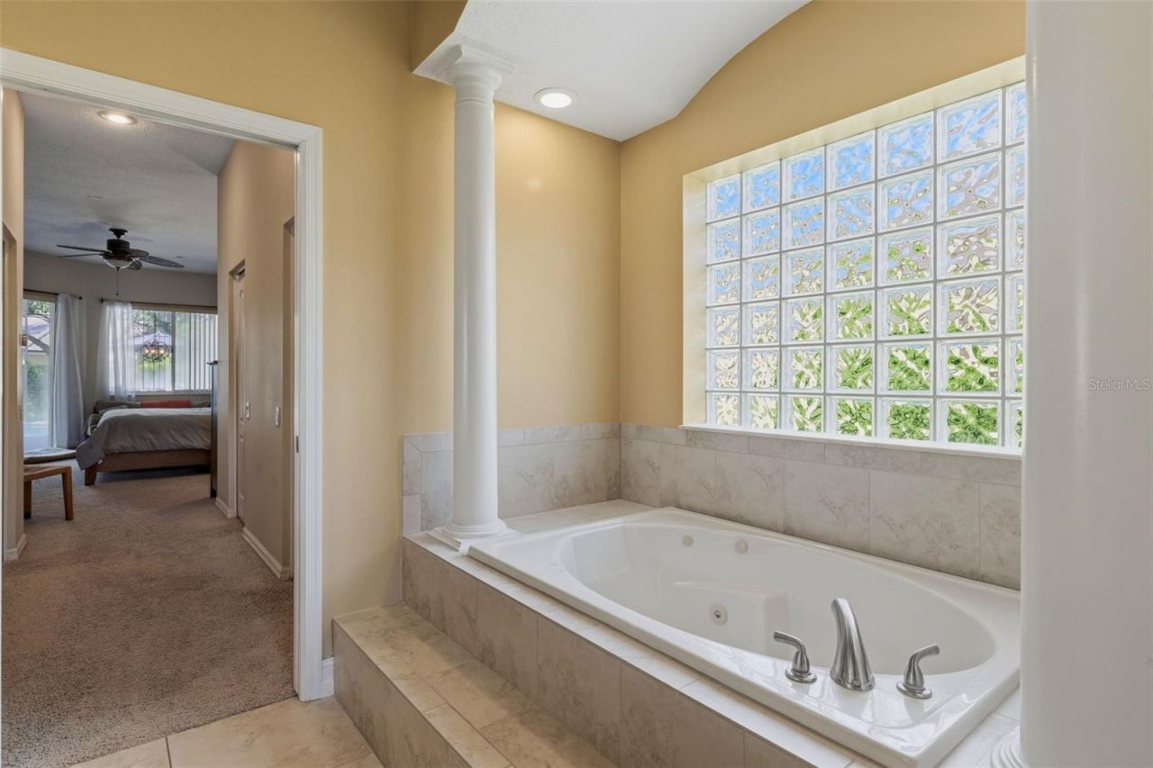 12012 Brewster Drive, Tampa, FL 33626 Photo