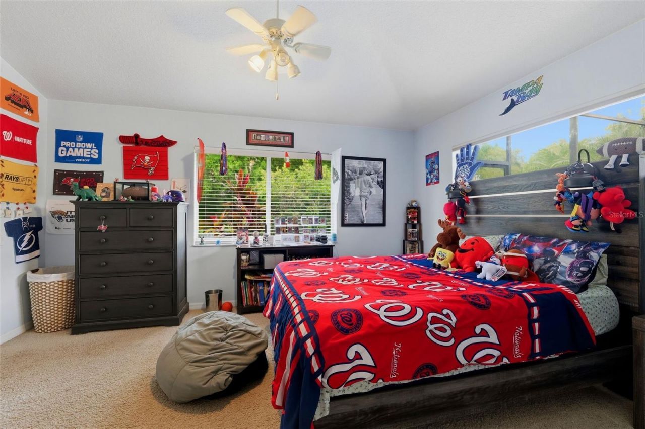 12012 Brewster Drive, Tampa, FL 33626 Photo