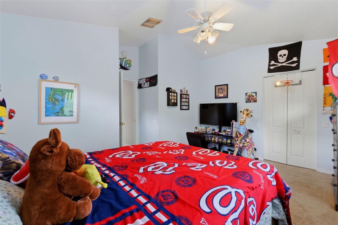 12012 Brewster Drive, Tampa, FL 33626 Photo
