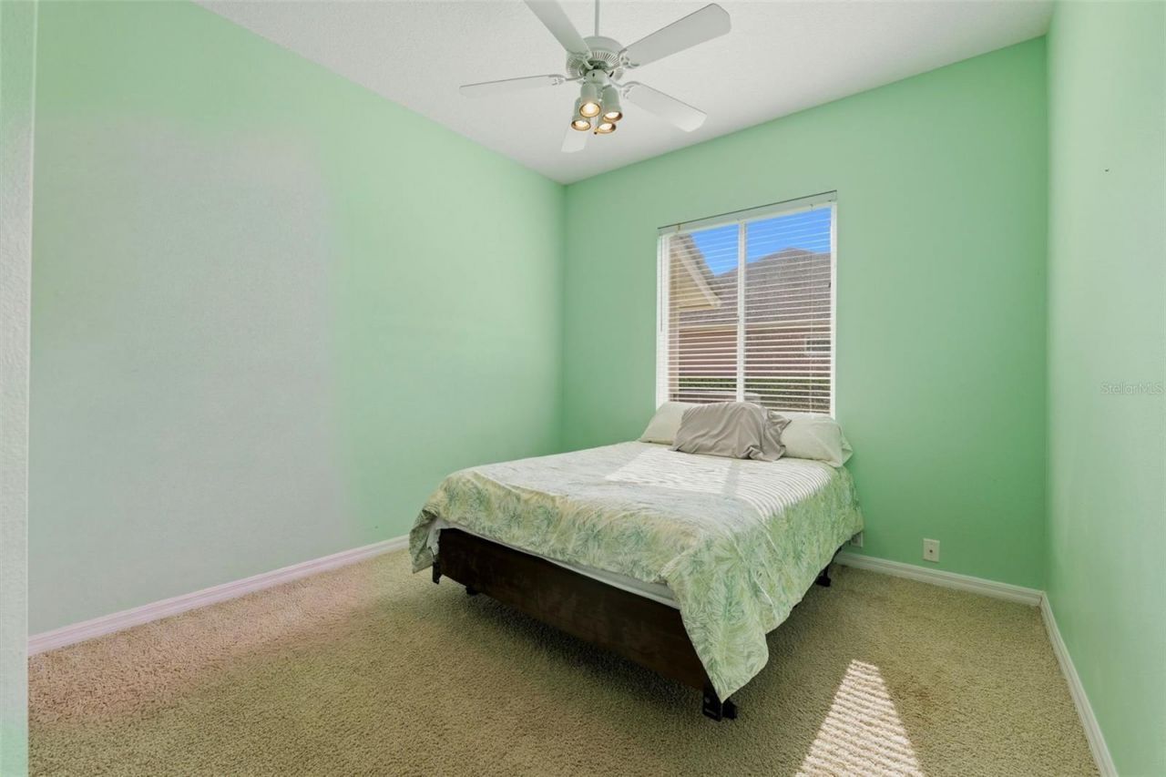 12012 Brewster Drive, Tampa, FL 33626 Photo