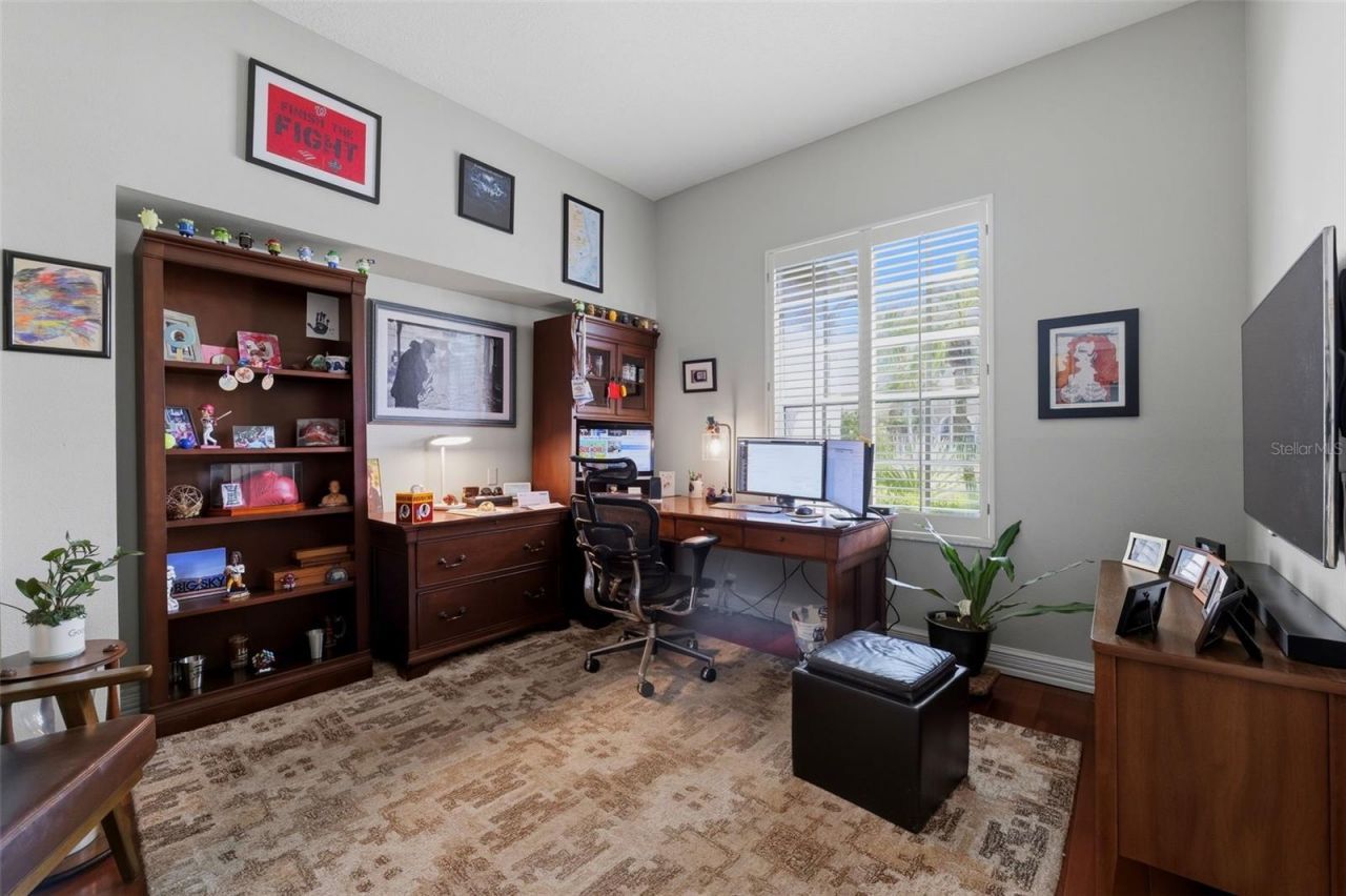 12012 Brewster Drive, Tampa, FL 33626 Photo