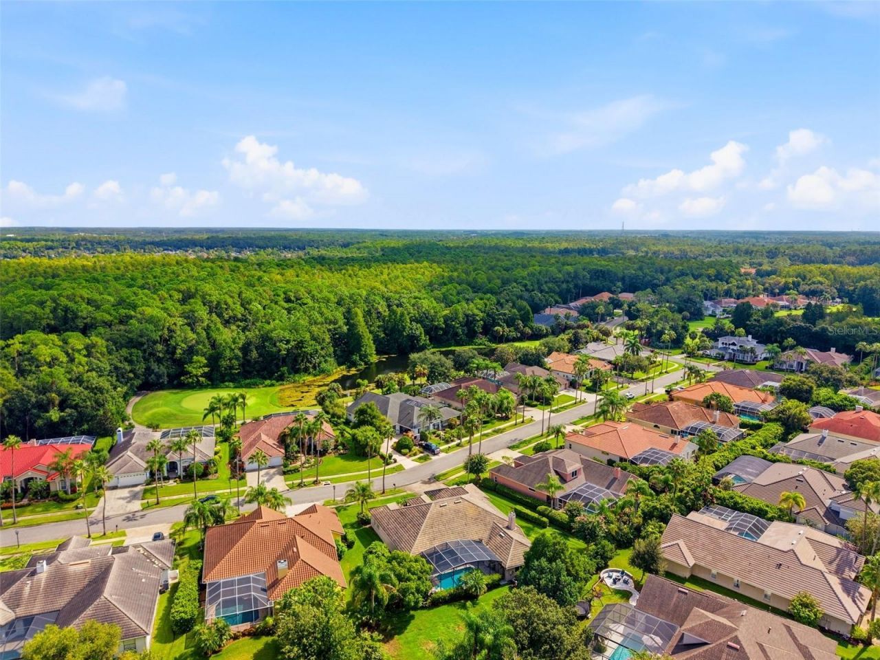 12012 Brewster Drive, Tampa, FL 33626 Photo