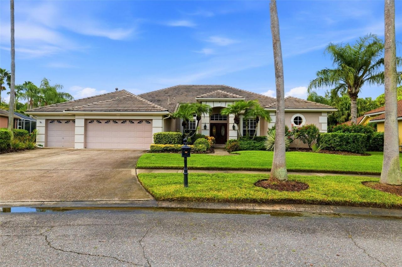 12012 Brewster Drive, Tampa, FL 33626 Photo