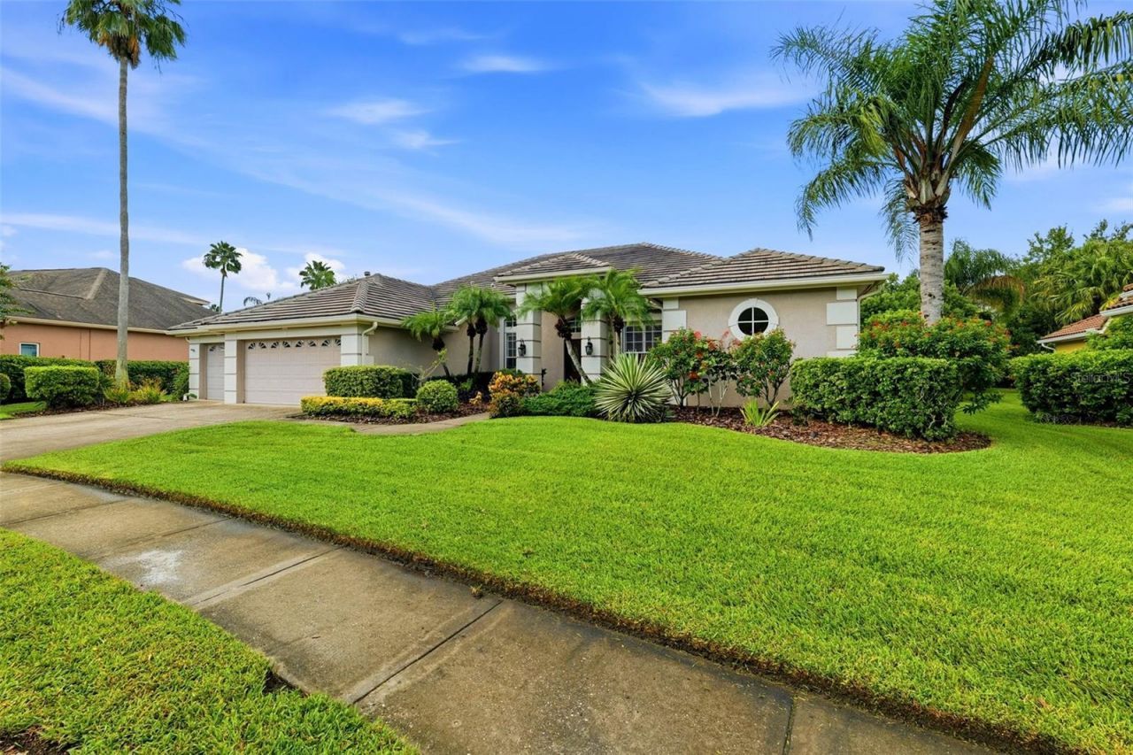 12012 Brewster Drive, Tampa, FL 33626 Photo