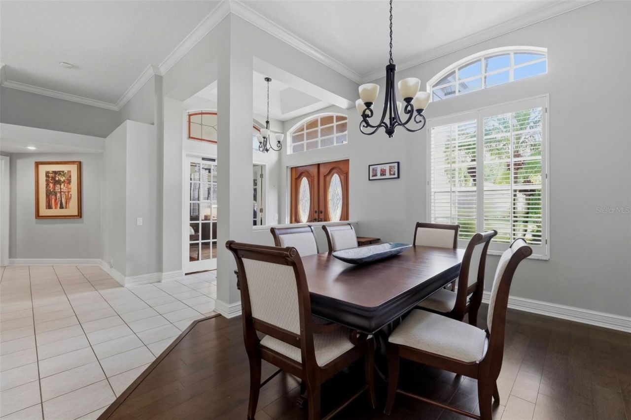 12012 Brewster Drive, Tampa, FL 33626 Photo