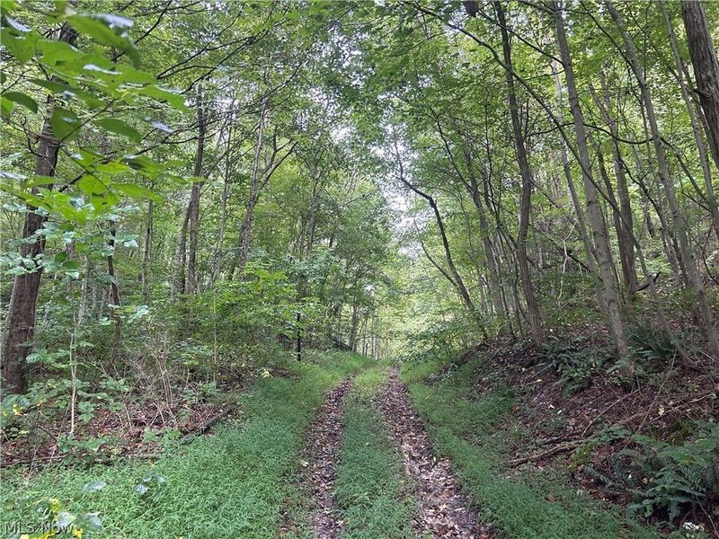 Township Rd. 282, Coshocton, OH 43812 Photo 11