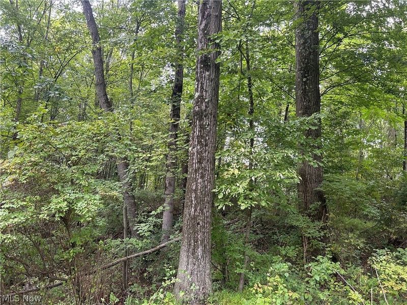 Township Rd. 282 , Coshocton, OH 43812 Photo 12