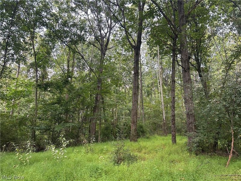 Township Rd. 282 , Coshocton, OH 43812 Photo 13