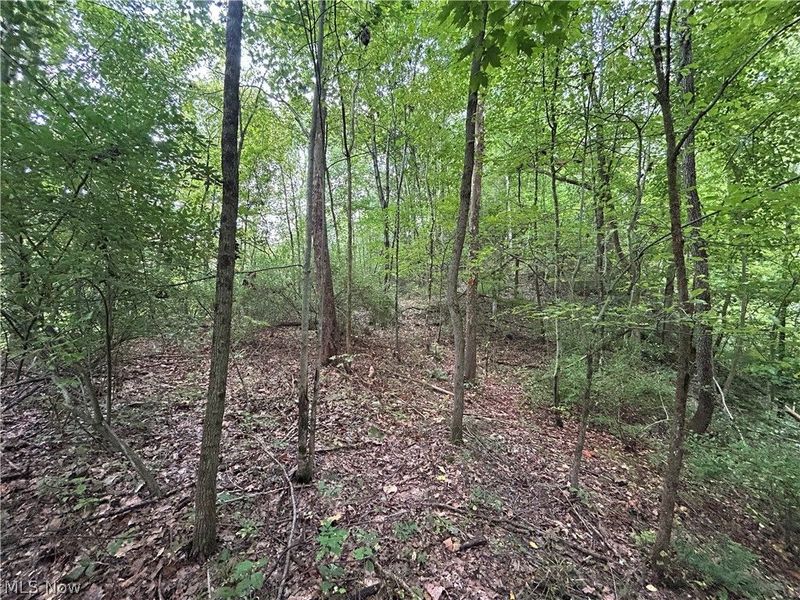 Township Rd. 282 , Coshocton, OH 43812 Photo 14
